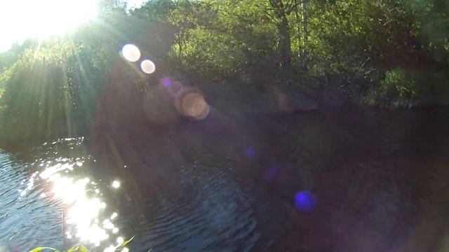 Река Морье. Рыбалка 16 июня 2021.