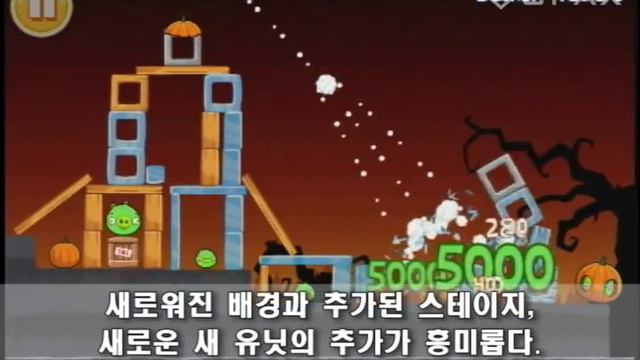 아이폰 게임 앵그리버드 할로윈 Angry Birds Halloween 리뷰 (지팍스 GPAX)