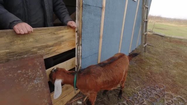 Муж заявил, что будет есть в сарае!