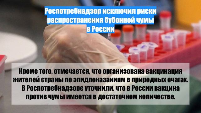 Роспотребнадзор исключил риски распространения бубонной чумы в России