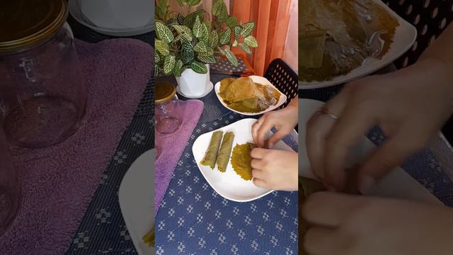 ДОЛМА КРУГЛЫЙ ГОД