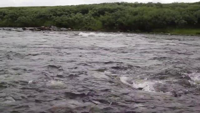 Первый бурный перекат. Река Большая Уса.