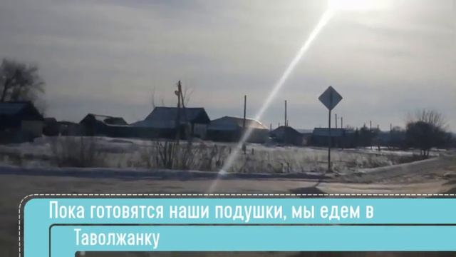 Поездка в Карсун за подушками