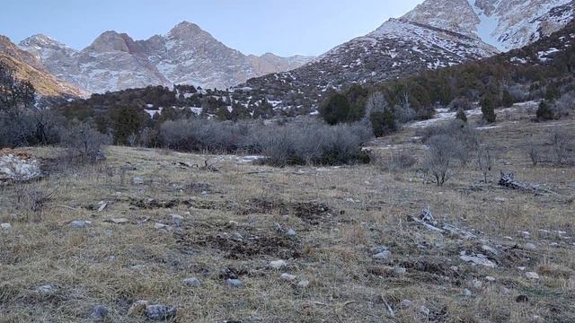 Кергелы Ущелье! Часть 5. Природа 4К! Сайрам-Угамский Нац. Парк. Казахстан! Kazakhstan! ПОДПИШИСЬ!