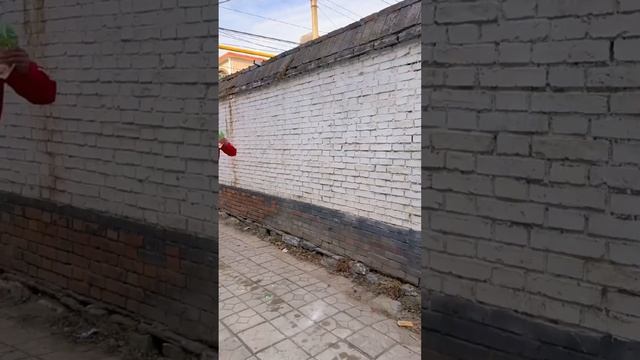 二狗子買東西卻說不出話，全靠老闆娘在那猜，你們能猜到嗎？ 【回憶童年】