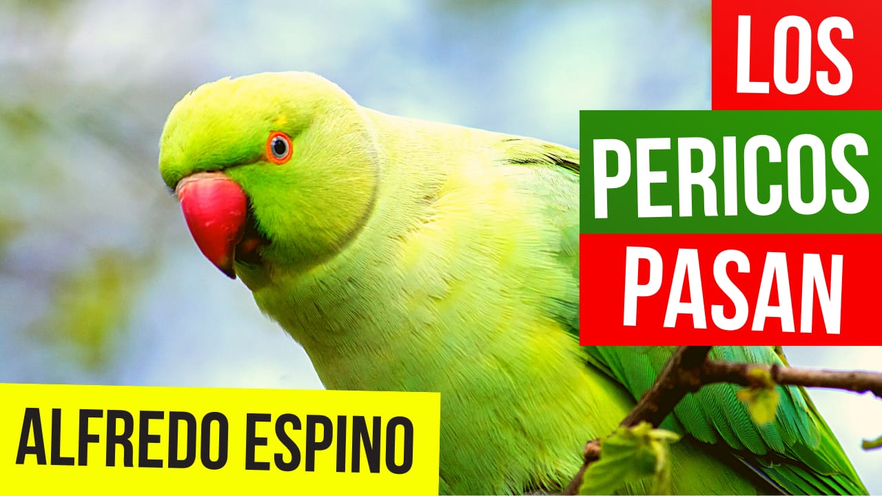 LOS PERICOS PASAN ALFREDO ESPINO ?⛅ | Jícaras Tristes Pájaros de Leyenda ? | Alfredo Espino Poemas