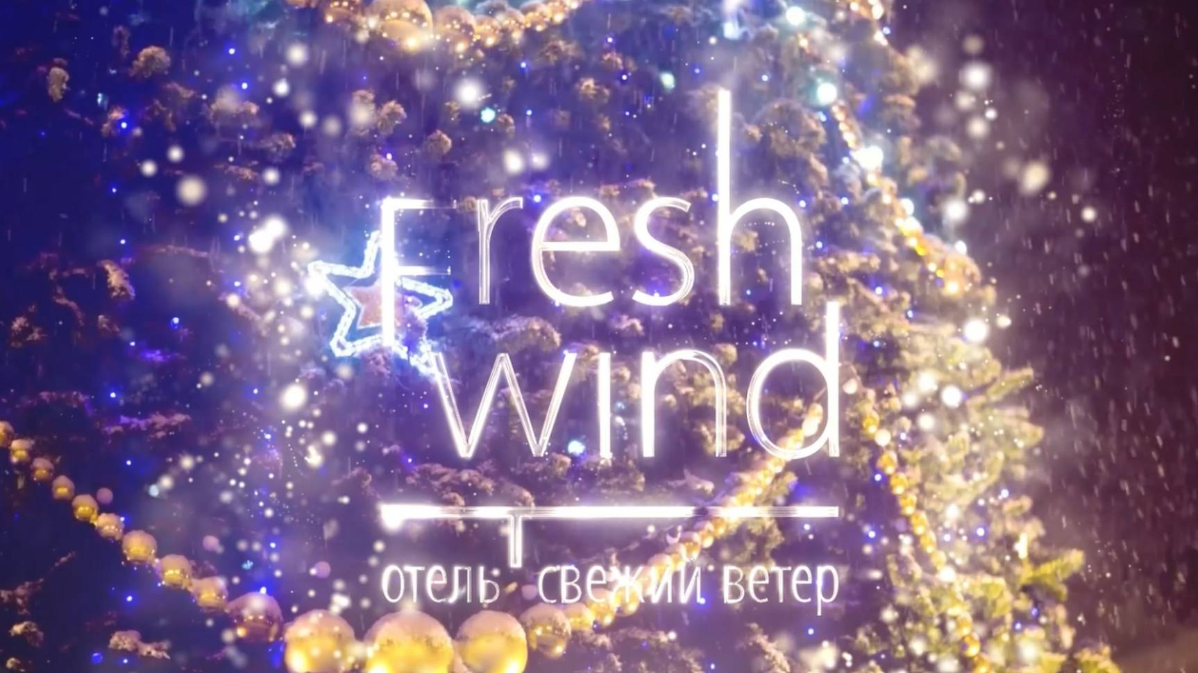 НГ_СВ_2024