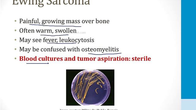 Musculoskeletal - 3. Pathology - 4.Bone Tumors atf