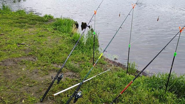 Рыбалка на линь
