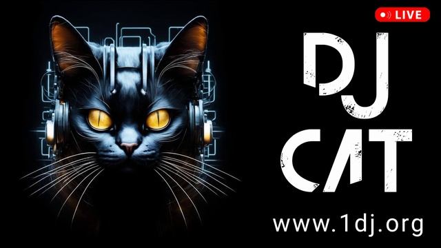 DJ CAT новая популярная электронная музыка для вечеринок и дискотек 2024 драм-энд-бейс диджей