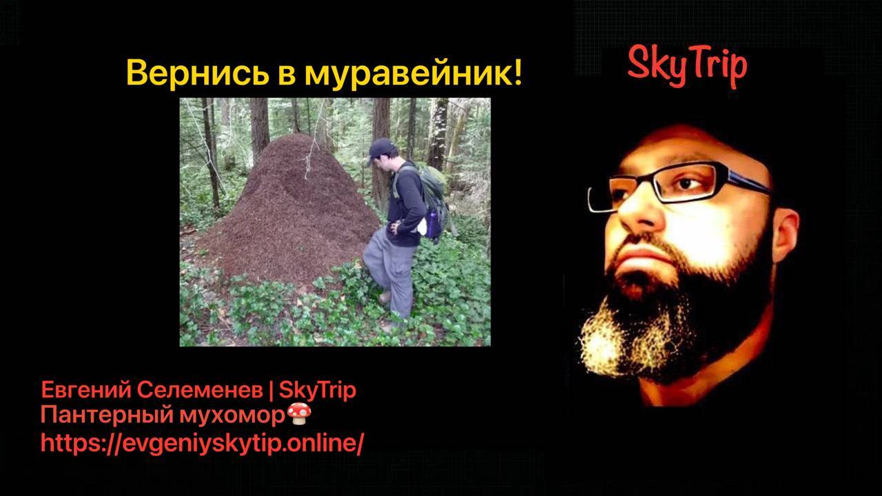 Пантерный мухомор I Человеческая сборка I SkyTrip