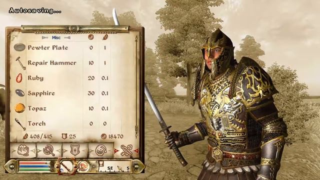 The Key to Success | The Elder Scrolls IV: Oblivion #40