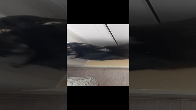 1000002368.mp4