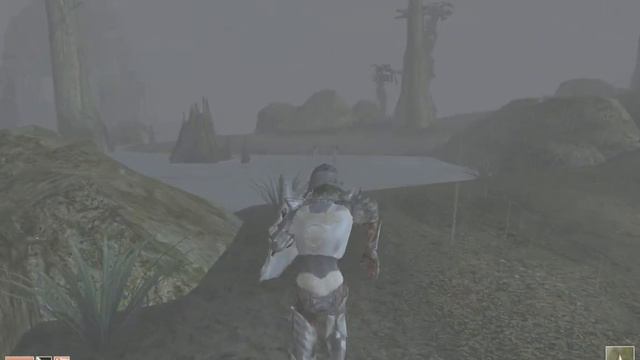 Morrowind 2023 03 30 13 58 33 97