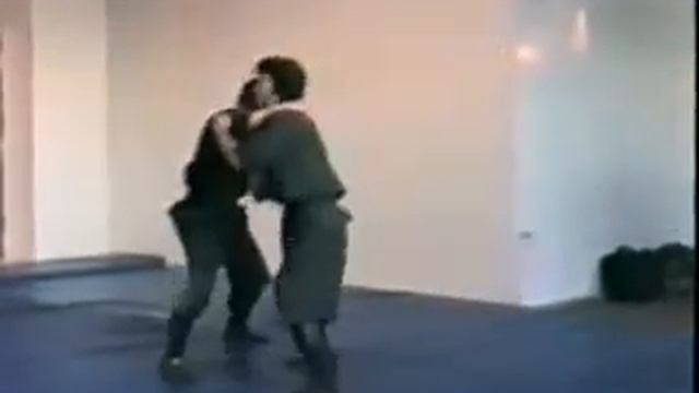 Ralph Severe bujinkan ninjutsu early 90's the way bujinkan should be thought