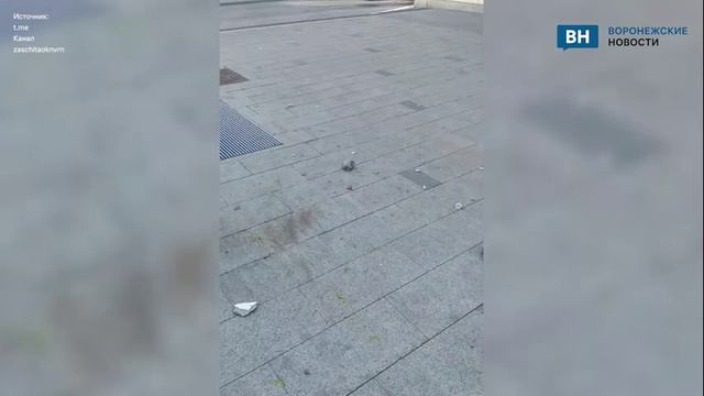Часть карниза рухнула на тротуар в центре Воронежа