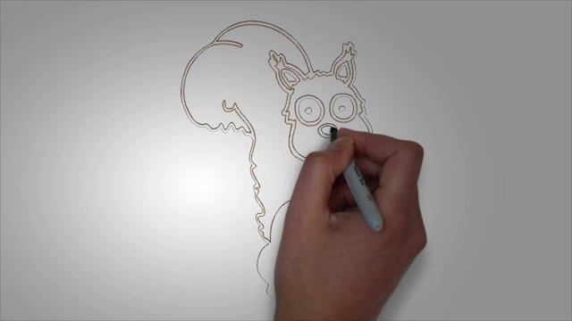Белка карандашом. КАК НАРИСОВАТЬ БЕЛКУ