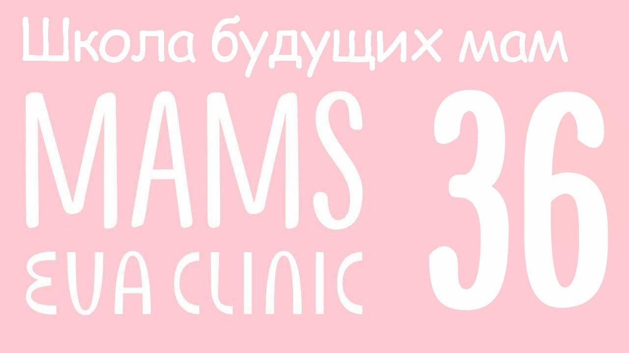 Правила выбора колясок - Школа Будущих Мам в Eva Clinic #36