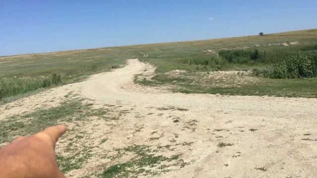 Саратовская область, Красноармейский район. Каменский. 02.08.2018, 11:02