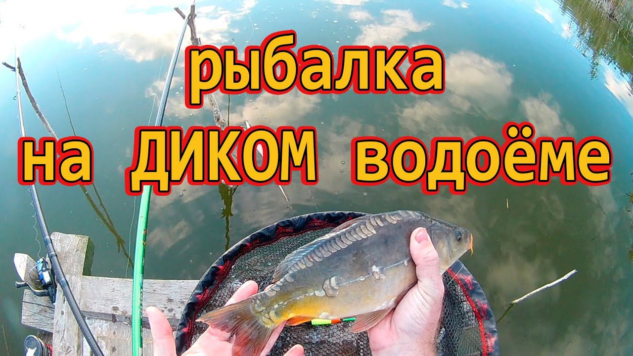 Рыбалка на диком водоёме /// Рыбалка на Кубани 2022 /// Выпуск № 27