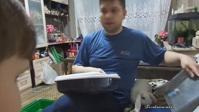 Купили новую клетку для хомячка