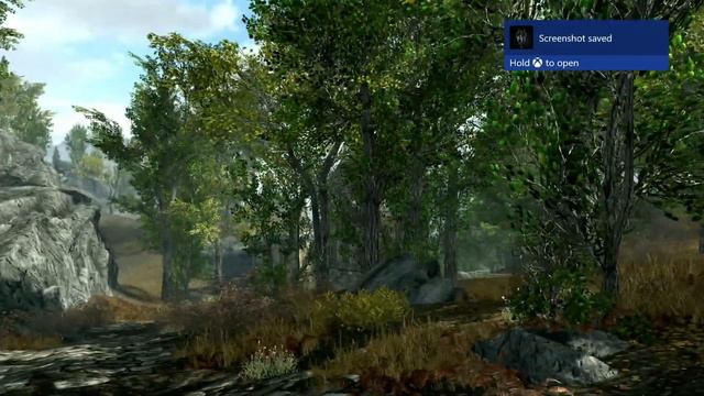 Skyrim (mods) - Spotlight On: Green And Lush Aspen Trees