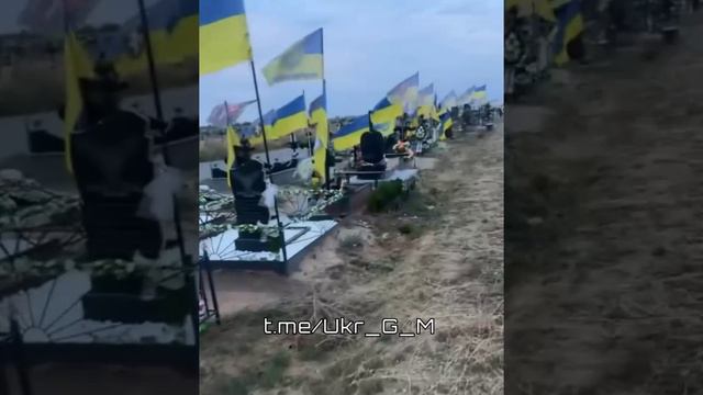 🇺🇦Результат правления "просроченного президента мира" Зеленского во всей своей красе☠️