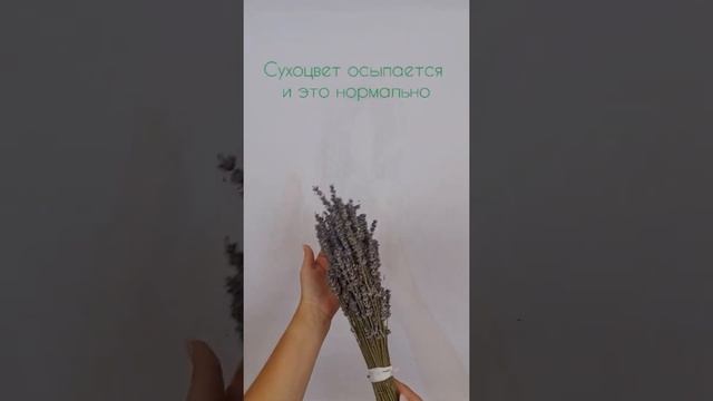 Букет Лавандина/Сухоцветы/Травы Горного Крыма