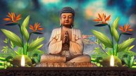Removes All Negative Energy | emotional & physical healing music, healing meditation music