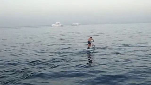 Акваскипер в Египте