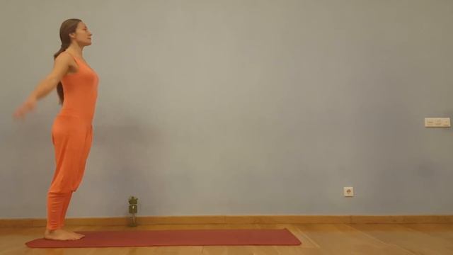 ЧАКРА ВИНЬЯСА ВПЕРЁД из Бакасаны