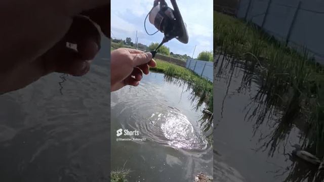 Амур на мормышинг