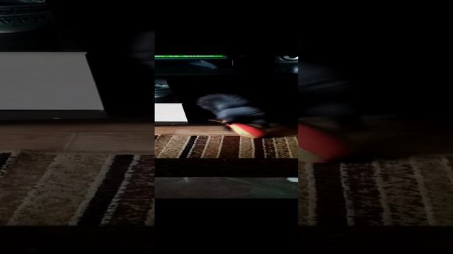 Без названия