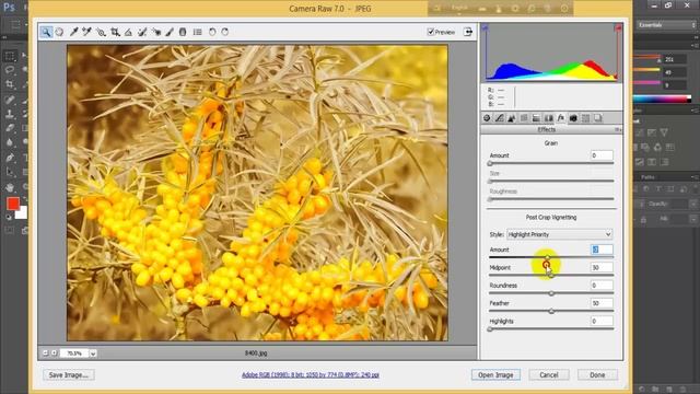 Adobe Camera Raw Tutorial | Colorful fruit photo editing by photoshop