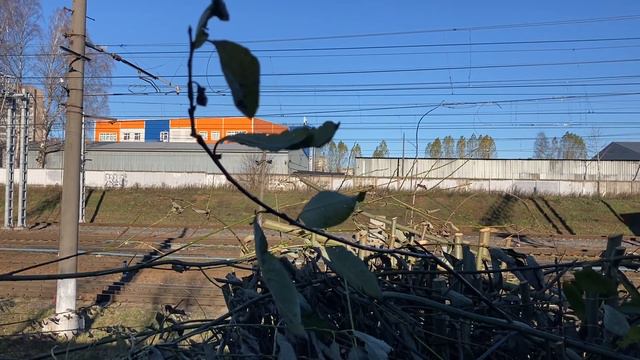 Трамваи на мосту, электрички под мостом