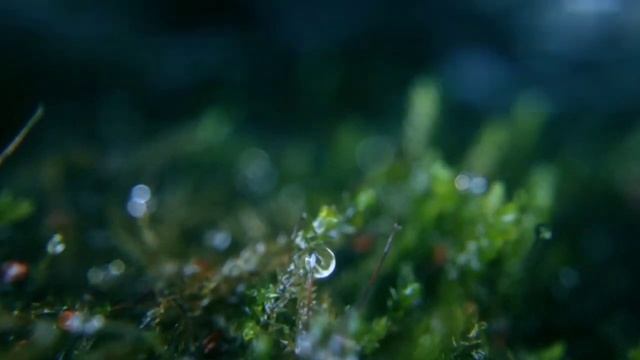 Хорошая музыка для отдыха. Good music for relaxing.