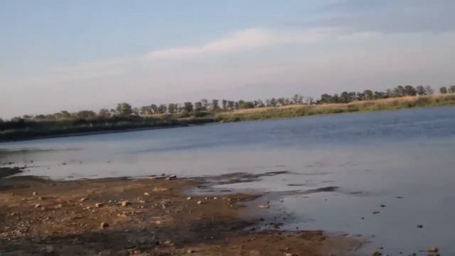 Сальский водоем год как слит