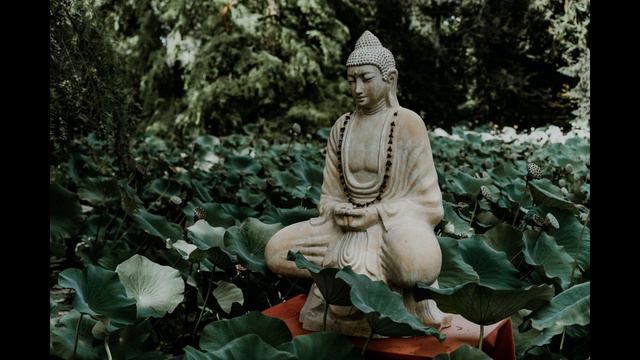 [1 hora] Meditação budista