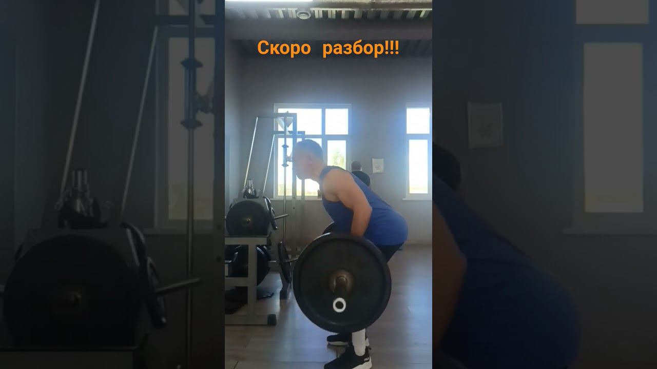 promo back exercises