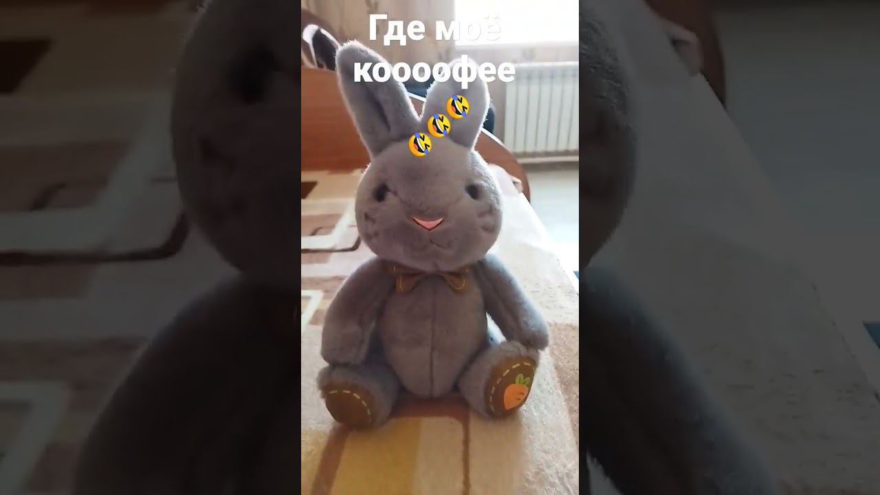 Бенчик опять выпил мой кофе!