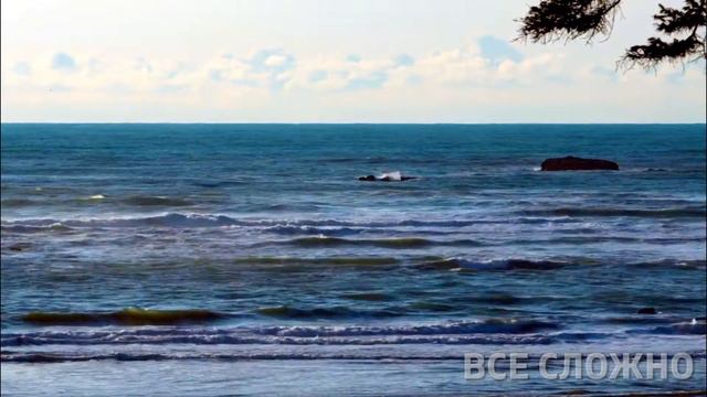 НЕ СЛУШАЕТ ТАКУЮ МУЗЫКУ | ПОКАЗАЛ МНЕ БОЛЬШОЙ ПАЛЕЦ | УВИДЕЛ ЧТО ОНА ПЛАЧЕТ | ВСЕ СЛОЖНО