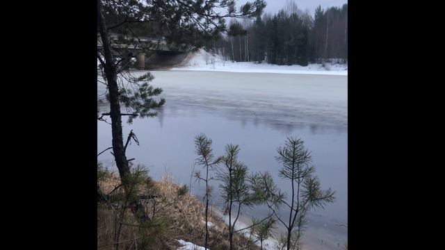 Весна уже пришла. Природа.