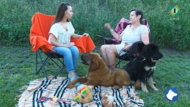 Собачья школа с Нюшей 24 выпуск