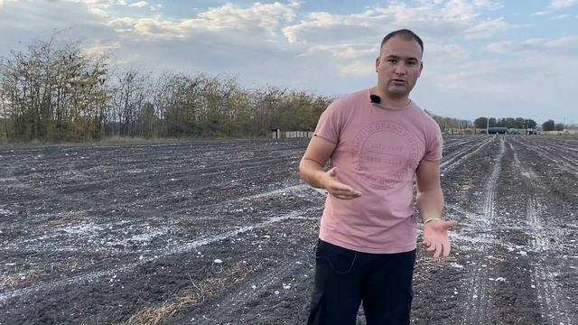 Зачем вносить ГИПС