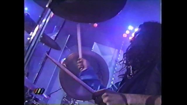 Chancho En Piedra / Quinta Vergara, Viña Del Mar / 18-02-1999