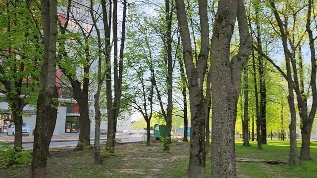 16. VLOG 2023 Танцы  Северная Европа  Северная Америка  Минск мир Minsk World