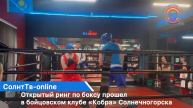Открытый ринг по боксу прошел в бойцовском клубе «Кобра» Солнечногорска