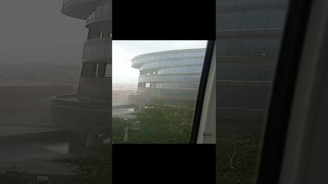VID_20230719_172732.mp4