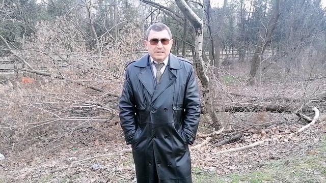 Администрации Краснодара не до рухнувших деревьев