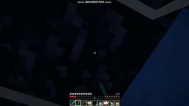 ПОЛОСА ИЗ 100 ЛАКИ БЛОКОВ В МАЙНКРАФТЕ V1.16.5
